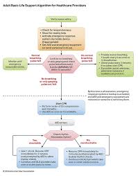 Part 3 Adult Basic And Advanced Life Support American Heart Association Cpr First Aid
