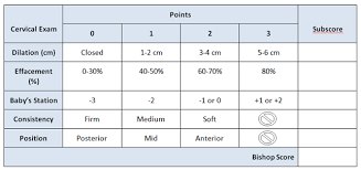 Image result for Bishop Score