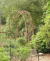 The finished garden arch measures. Jim Long S Garden Bentwood Trellises For Your Garden Garden Arch Trellis Garden Archway Garden Arches