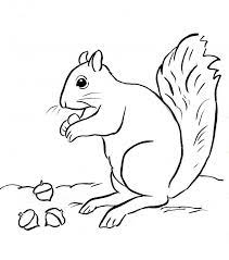 These free, printable summer coloring pages are a great activity the kids can do this summer when it. Dibujos De Ardillas Squirrel Coloring Page Cool Coloring Pages Coloring Pages