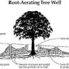 Humans assumed trees produced oxygen as a byproduct, but actually its an essential ingredient utilized by their root system just below ground. Https Encrypted Tbn0 Gstatic Com Images Q Tbn And9gcttccdgw5 J4drxt Wiuo7aabgpajwtntb6kpynurhikjoziz1z Usqp Cau