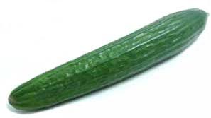 Image result for Cucumis sacleuxii