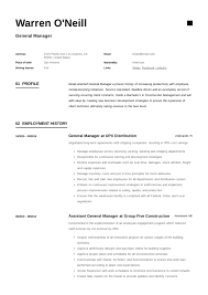 Our sample resumes give out examples of general resume formats that anybody can use as a tool for making the perfect resume. General Manager Resume Writing Guide 12 Resume Examples Pdf