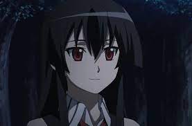 Under the rule of a tyrannical empire, tatsumi, a young swordsman, leaves his home to save his poverty stricken village. Everyone Arguing That Esdeath Or Mine Is Best Girl While I Am Chilling With Akame My One And Only Waifu Akamegakill