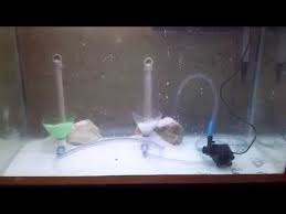 My Aquarium Waterfall Sandfall Youtube Aquarios Como Fazer Um Aquario Cachoeira