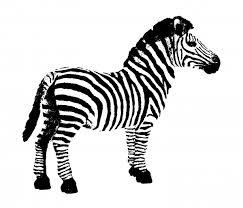 Zebra clipart png collections download alot of images for zebra clipart download free with high quality for designers. Zebra Clipart Free Stock Photo Public Domain Pictures
