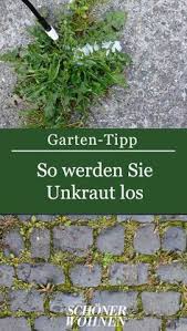 Unkraut Aus Pflasterfugen Entfernen Bild 14 In 2020 Unkraut Entfernen Unkraut Unkraut Im Garten