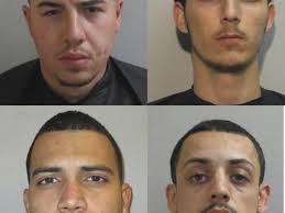 Drug case sends 3 brothers, friend to prison