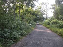 Sunuk pahari viiiage is located in bankura. Mukutmanipur Deer Park Balarampur Wb