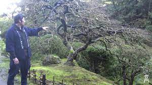 Japanese Gardens Portland Coupon 07 2021