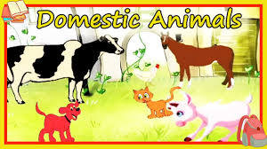 Dogs, cats, cows, rabbits are some of our favorite domestic animals with snakes and mouse as exception. Learn About Domestic Animals Preschool Learning For Kids Educational Video For Children Youtube