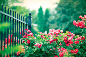 Hd Wallpapers Nature Flowers Group 81 All flower background photos are available in jpg, ai, eps, psd and cdr.