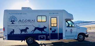 He grew up in south florida and has lived in florida most of. Mobile Veterinarian Serving Maple Valley Wa Acorn Mobile Veterinary Services