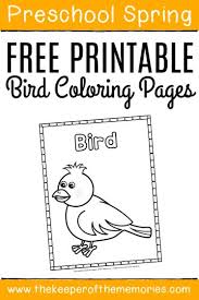 You can get acquainted with forest, migratory, tropical and also birds of prey. Free Printable Bird Coloring Pages The Keeper Of The Memories