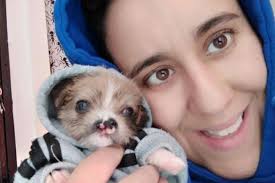 Recaudar fondos para los que no tienen voz