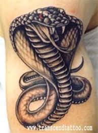 Cobra Tattoo Cobra Tattoo Tattoos Mom Tattoos