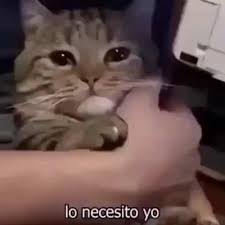 Provided to youtube by sony music entertainment el muchacho de los ojos tristes · jeanette corazon de poeta ℗ 1981 bmg music spain, s.a. El Muchacho Videos 2021 Dd Reddit Tube