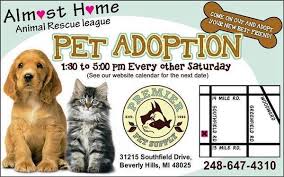 Almost home pet rescue maine. Almost Home Animals Almosthomemi Twitter