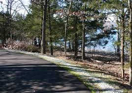 New Table Rock Lakeshore Trail Along Branson S Table Rock Lake Branson Courier Bike Trails Places To Go Trail