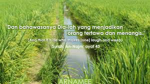 Maybe you would like to learn more about one of these? Dear Allah Explore Tumblr Posts And Blogs Tumgir