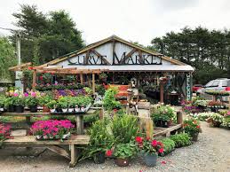 Maybe you would like to learn more about one of these? Head Straight To The Curve Market Only In Arkansas