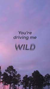 I Chose This Image For My Ideabook Because I Like How They Made The Word Wild Appear As Iphone Wallpaper Tumblr Aesthetic Tumblr Wallpaper Pretty Wallpapers