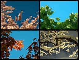 Check spelling or type a new query. Winter Spring Summer Or Fall Does Season Of Birth Affect The Risk For Developing Allergies Neocate