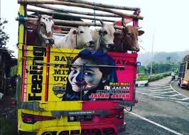 Gambar tulisan lucu yang sering dijumpai di bak mobil truk. Enggak Cuma Bikin Ketawa Tulisan Di Bokong Truk Juga Bisa Buat Baper Tingkat Maksimal Semua Halaman Gridoto Com