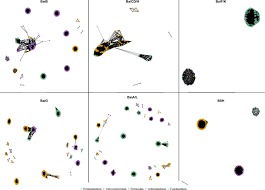 Be1st smart tpn rabbit siriraj card. Metagenomic Analysis Of Bile Salt Biotransformation In The Human Gut Microbiome Bmc Genomics Full Text