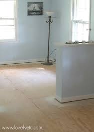 Often, closets or pantries do not have a baseboard molding. Amazing Painted Plywood Subfloor A How To