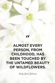 The gift of life can be compared to the beauty that lies within flowers. 48 Inspirational Flower Quotes Cute Flower Sayings About Life And Love