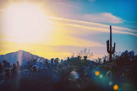 File size hd arizona wallpaper: Phoenix Az 1080p 2k 4k 5k Hd Wallpapers Free Download Wallpaper Flare