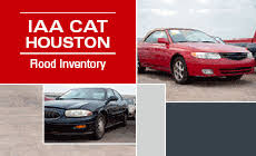 We did not find results for: Iaa Cat Houston Tx Car Auction Iaa