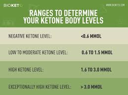 pin on keto