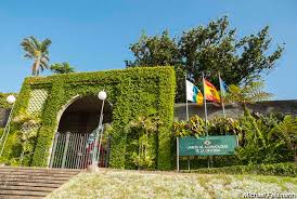 Botanischer Garten In Puerto De La Cruz