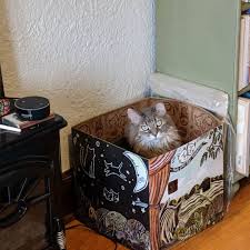 repost from the gutsy grackle while i cleaned my apartment this weekend sugarpants played like a maniac in her cat toy theater toy theatre cat toys toys
