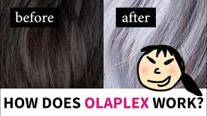 I'm pretty happy with this product overall. How Does Olaplex Hair Treatment Work Lab Muffin Beauty Science
