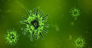 Use the menu below to choose the introduction section to get started. Measles Virus Recruiting Pleural Mesothelioma Patients