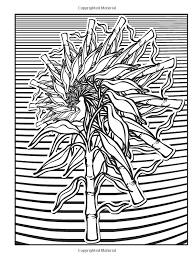 Parents may receive compensation when you click through and purchase from links contained on this website. Dover Publications Creative Haven Nature Fractals Coloring Book Mary Agredo And Javier Agredo Creative Haven Coloring Books Coloring Pages Coloring Books
