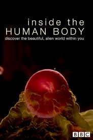 Human body inner diagram 12 photos of the human body inner diagram diagram of inner human body, human body inner diagram, inner body, diagram of inner human body, human body inner diagram. Watch Inside The Human Body Online Stream Season 1 Now Stan