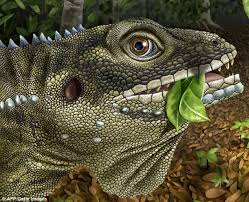 You have been asking me what i do to workout and so, here's my stretching and flexibility routine! Could Global Warming Lead To 10ft Reptiles Scientists Say Small Plant Eating Lizards Could Grow To The Size Of Komodo Dragons Daily Mail Online