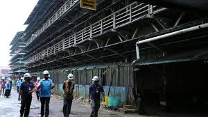 Apakah hr lebih cenderung pada hak pekerja daripada hak pekerja? Dua Industri Pilih Jadi Pelanggan Premium Pln Akui Lebih Hemat Biaya Produksi Tribun Pontianak