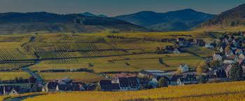 We did not find results for: Offres D Emploi Haut Rhin Pole Emploi