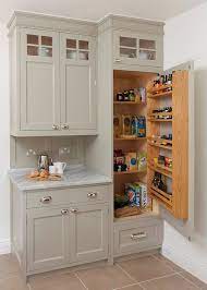 Turn Your Traditional Kitchen Cabinet Into A Built In Pantry Maximize Your Storage Traditional Kitchen Cabinets Kitchen Remodel Small Small Kitchen Storage