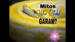 Sebenarnya jin takut dengan apa, apakah takut dengan manusia? Mitos Bukan Garam Tapi Benda Ini Yang Paling Ditakuti Ular By Bukalapak Go2cloud Org Sh4zn