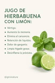 🥤 *Jugo de hierbabuena y limón…* Refrescante, natural y perfecto para  cualquier momento del día 😋✨ 📌 Receta completa en el primer comentario