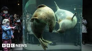 A Dark Silence at Asahiyama: Inside Japan's Zoo Incinerator Tragedy