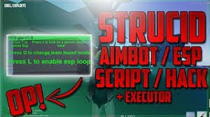 The strucid aimbot it is a must have for all users. New Strucid Aimbot Esp Script Hack Aimbot Esp Executor Chill Exploits Youtube