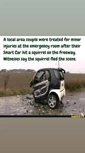 meme #funny #daily #smart #car #squirrel #wreck #acciden #reporting #... |  TikTok
