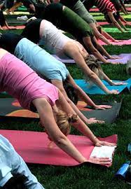 Born in toronto, canada, scoria was crowdfunded on kickstarter, offering the most creative & imaginative high quality cork yoga mats. What S In A Yoga Mat Bcliving